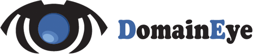 DomainEye Logo